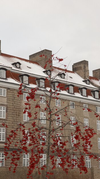 Las fachadas de las casas