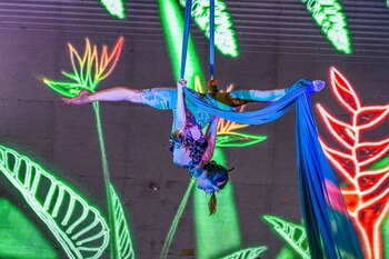 Imagen de archivo. XIII Festival