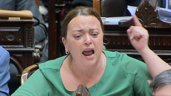 “Usted está pasándose de vivo”: