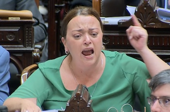 La discusión parlamentaria por la