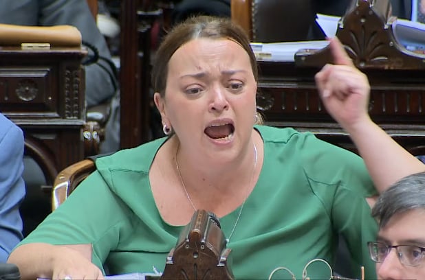 La discusión parlamentaria por la reforma laboral arrancó con escenas de tensión, luego de que diputados de Unión por la Patria y el Frente de Izquierda protestaran contra la decisión de Martín Menem