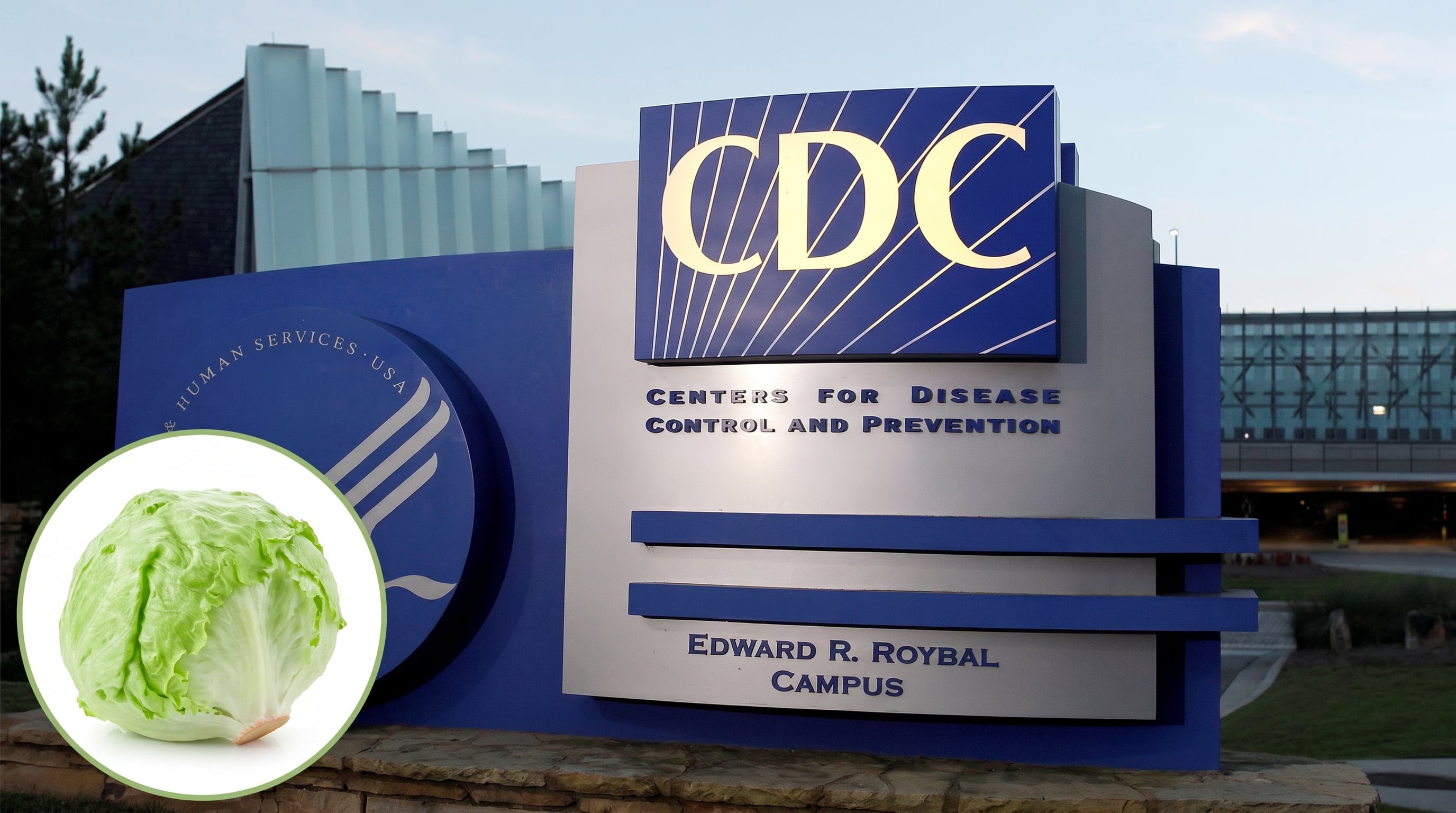 Brote de ciclosporiasis en EE. UU. supera los 24.000 casos y deja muertes en Michigan