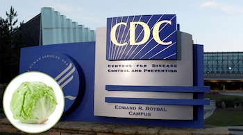 Letrero del Centro para el Control y la Prevención de Enfermedades (CDC) con el edificio al fondo. En primer plano, un gráfico circular muestra una cabeza de lechuga.