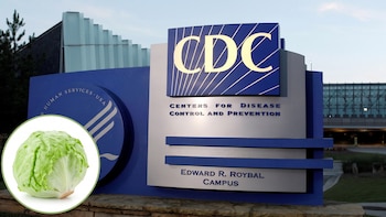 Los CDC extienden a 9 estados el mayor brote de ciclosporiasis registrado en Estados Unidos