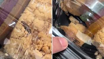 Jóvenes encuentran cucaracha en rosca