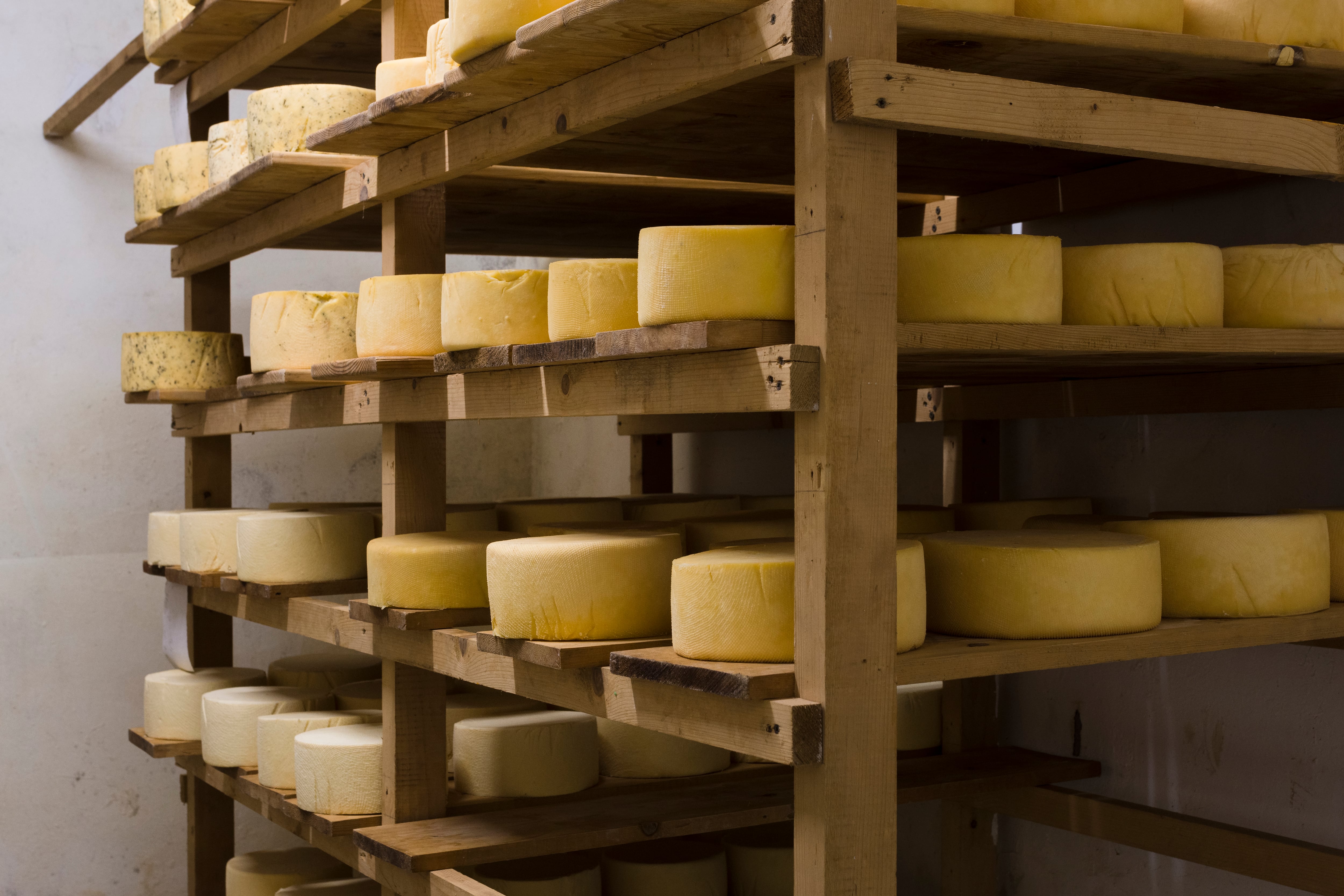 Los quesos de pasta semidura representaron un 6% del volumen de lácteos argentinos exportados entre enero y julio de 2026 (Magnific)