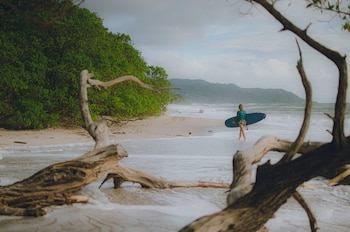 Mujer con tabla de surf azul caminando por la orilla de una playa con arena clara, vegetación densa, mar con olas y trozos de madera en primer plano