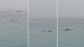 El escalofriante momento en que