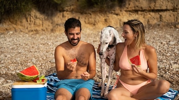¿Por qué aumentan las intoxicaciones alimentarias en verano?: altas temperaturas y comida mal conservada, el hábitat perfecto para las bacterias