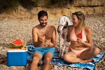El verano es el momento del año donde más aumenta el riesgo de intoxicación alimentaria (Magnific)