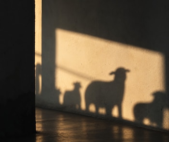 Sombras de pequeñas figuras de ovejas proyectadas en una pared clara por un haz de luz solar directa