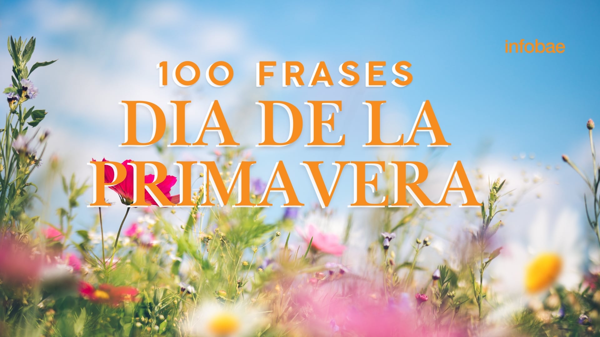 Estás son las frases más absurdas en la historia del futbol | TUDN Fútbol |  TUDN, image size:1920x1080