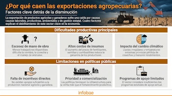 Infografía que ilustra las razones de la caída en exportaciones agropecuarias con texto e íconos sobre escasez de mano de obra, altos costos, cambio climático y políticas públicas.