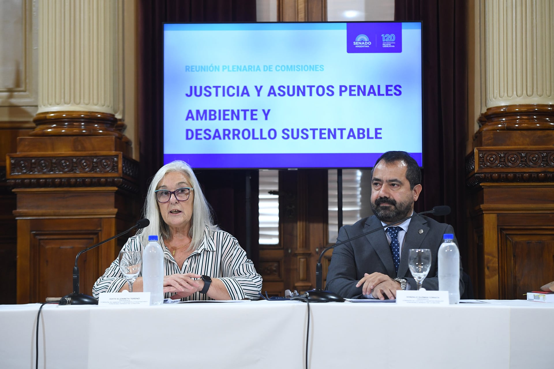Los titulares de las comisiones de Ambiente; y de Justicia de la Cámara alta, la filo radical Edith Terenzi y el libertario Gonzalo Guzmán Coraita, respectivamente (Prensa Senado)