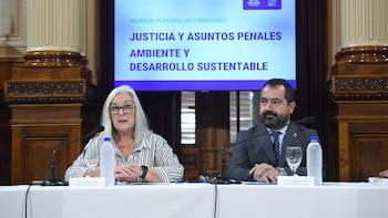 Polémica por un proyecto de “Ecocidio” en el Senado: LLA quiere retirar las firmas del dictamen