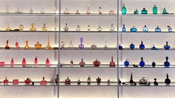 En dónde está el Museo