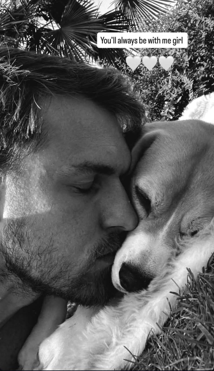 La familia Ramsey despliega brigadas y ofrece recompensa para encontrar a Halo, su beagle extraviada. Imagen cuenta de Instagram @aaronramsey