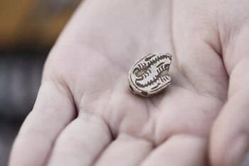 El hallazgo evidencia la antigua