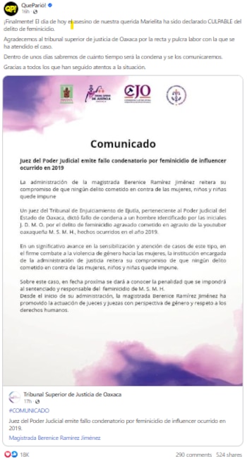 Mariela Saidí, feminicidio, Oaxaca, Queparió!, México.