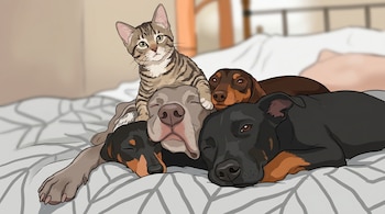 Ilustración de caricatura de un gato atigrado con cinco perros de diversas razas y colores durmiendo juntos apilados en una cama.