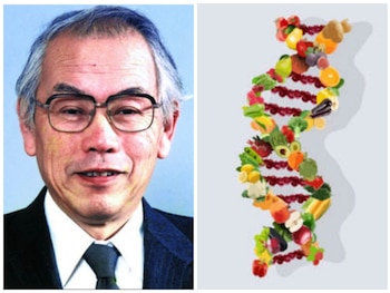 El Dr. Kazuo Murakami, autor