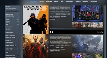 (Steam)
