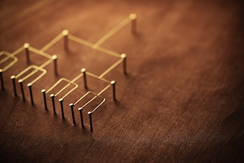 Muchas personas extremadamente ricas son