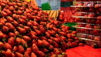 LA USTR solicitará la realización