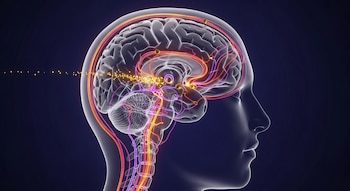 Ilustración 3D de un cerebro humano en corte sagital, mostrando rutas neuronales iluminadas en rojo, naranja y violeta, con partículas tau brillantes.
