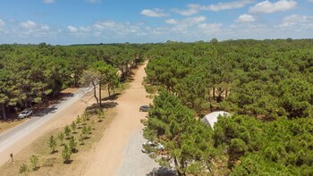 Bosques, una urbanización cerrada también