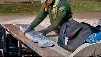 La inspección de un colectivo