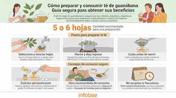 Infografía con seis recuadros ilustrados que explican la preparación, el endulzado y las recomendaciones de consumo del té de guanábana.