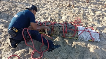 En playas de Nuevo Nayarit