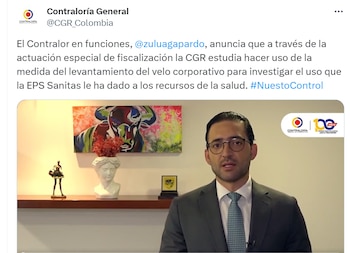 Vicecontralor en funciones de contralor
