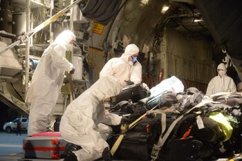 Control de sanidad en el