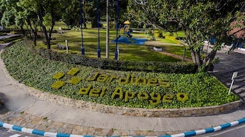 Testigos grabaron la pelea en el cementerio durante 2026, generando polémica en redes sociales por la falta de seguridad en el recinto - crédito Jardines del Apogeo
