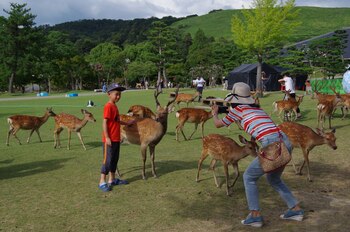 Una madre fotografía a su