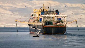 Antártida: el tratado internacional clave