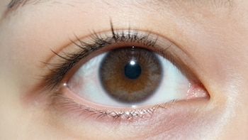 Un análisis avanzado de imágenes