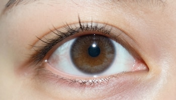 La validación clínica en humanos