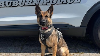 Biza es un destacado activo