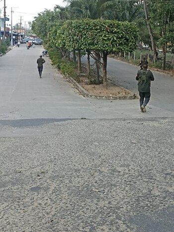 ELN patrulló población a 1