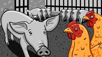 En las cárceles se pueden