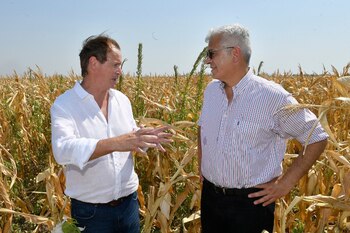 Julián Domínguez y Gustavo Bordet