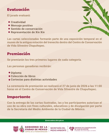Cartel promocional del Concurso de Cartas Ilustradas por el Cumpleaños de Xin Xin, con detalles de evaluación y premios, e ilustración de bambú y logos oficiales