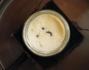 Imagen CZG5LOTROFDD5L7KXBIC4DFRKI