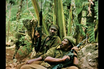 A diferencia de Martin Scorsese