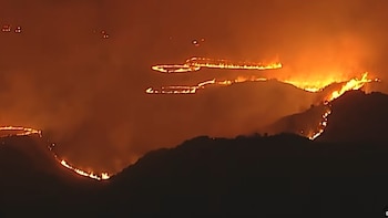 Los incendios forestales en California arrasan más de 800 hectáreas