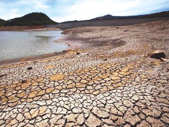 La producción agrícola también comienza a resentir el déficit prolongado de precipitaciones. (FOTO: El Heraldo)