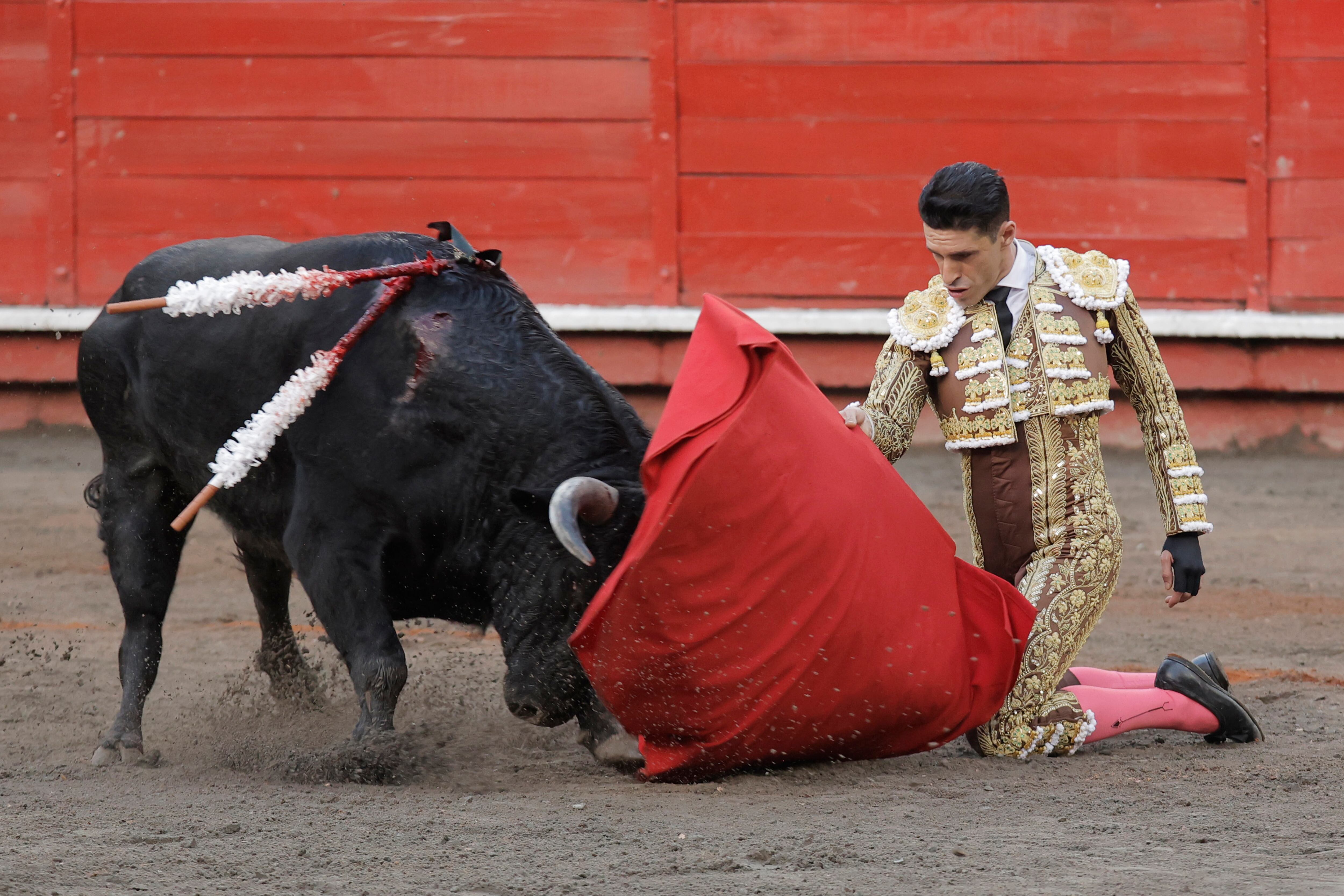 PETA proyectó en el Vaticano imágenes que muestran a Jesucristo y la Virgen María protegiendo a toros para denunciar la crueldad de las corridas. (EFE/ Jhon Jairo Bonilla)